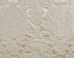 BRAQUENIE FRONTENAY FABRIC