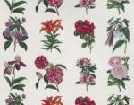 PIERRE FREY GRANDIFLORA FABRIC
