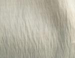 FADINI BORGHI MANUELLA FABRIC