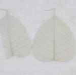NOBILIS LEAF FABRIC
