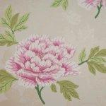 Manuel Canovas Macau Wallpaper