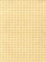 ZOFFANY SILK CHECK2 WALLPAPER