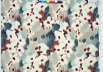 Rubelli Collection 2006 Orchidea Fabric