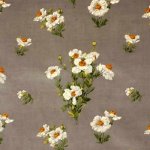 GP & J BAKER ICELANDIC  POPPIES - VELVET  FABRIC