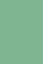 FARROW AND BALL ARSENIC NO. 214 PAINT