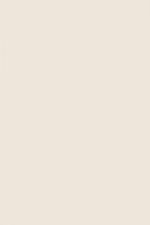 FARROW AND BALL BLACKENED NO. 2011 PAINT