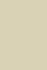 FARROW AND BALL BONE NO. 15 PAINT