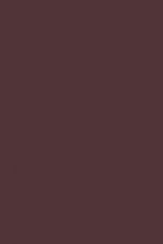 FARROW AND BALL BRINJAL NO. 222 PAINT