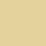 LITTLE GREENE LIGHT BUFF (50) PAINT