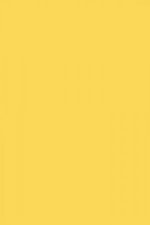 FARROW AND BALL CITRON NO. 74 PAINT