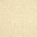 THREADS RIPPLE FABRIC