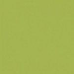 Paint and Paper Library Euphorbia Paint