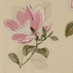 COLEFAX AND FOWLER VERYAN FABRIC