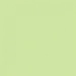 Paint and Paper Library Fennel Paint