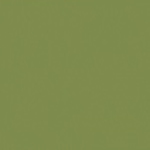 Paint and Paper Library Greenback Paint