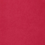 Harlequin What a Hoot Wallpapers Candy Wallpaper