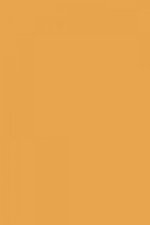 FARROW AND BALL ORANGERY NO. 70 PAINT