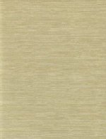 ZOFFANY TUSSAH SILK10 WALLPAPER
