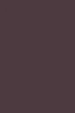 FARROW AND BALL PELT NO. 254 PAINT