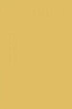 FARROW AND BALL INDIA YELLOW NO. 66 PAINT