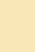 FARROW AND BALL STRING NO. 8 PAINT