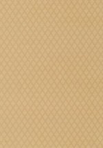 Thibaut Avalon Beaded Trellis Woven Fabric