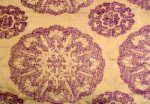 CHASE ERWIN AVIAYA FABRIC