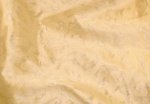 CHASE ERWIN SCINTILLO FABRIC