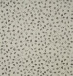 SANDERSON HONESTY FABRIC