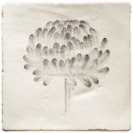MARLBOROUGH TILES BOTANICAL ETCHINGS SQUARE TILES