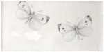 MARLBOROUGH TILES INSECTS & BUTTERFLIES TILES