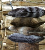 NOBILIS VISON CUSHION