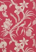 Thibaut Avalon Ecuador Wallpaper