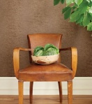 Thibaut Castle Pine Evergreen Wallpaper