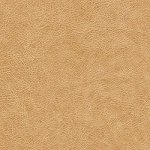 Thibaut Small Print Resource Leaf Trail Wallpaper