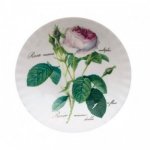 ROY KIRKHAM BONE CHINA | ROSA REDOUTE SET OF SIX OATMEAL BOWLS