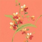 Thibaut Spring Lake Orchid Trail Wallpaper