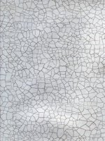 ZOFFANY RAKU SILVER WALLPAPER