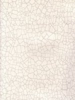 ZOFFANY RAKU OYSTER WALLPAPER