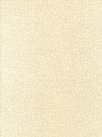 ZOFFANY RAKU STONE WALLPAPER
