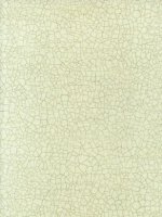 ZOFFANY RAKU PORCELAIN WALLPAPER