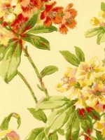 ZOFFANY RHODODENDRONS & LILIES3 WALLPAPER