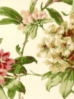 ZOFFANY RHODODENDRONS & LILIES2 WALLPAPER
