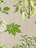 ZOFFANY TRADE ROUTES CHILLI PEPPERS 1 WALLPAPER