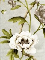 ZOFFANY TRADE ROUTES FLOWERING TREE 5 WALLPAPER