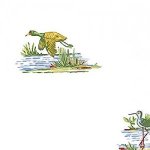 Thibaut Boat House Wading Birds Wallpaper