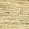 Select Colour Code Variant: 072 EXTRA FINE ARROWROOT - MAPLE