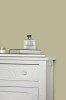 FARROW AND BALL BALL GREEN NO. 75 PAINT