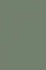 FARROW AND BALL CARD ROOM GREEN NO. 79 PAINT