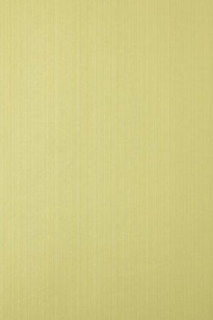 FARROW AND BALL DRAG BP 1294 WALLPAPER